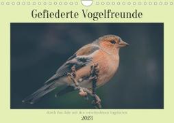 Gefiederte Vogelfreunde (Wandkalender 2023 DIN A4 quer)