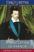 A Gentleman of France (Esprios Classics)