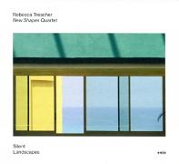 Silent Landscapes (feat. New Shapes Quartet)