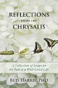 Reflections From the Chrysalis