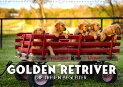 Golden Retriever - Die treuen Begleiter. (Wandkalender 2023 DIN A3 quer)