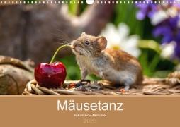 Mäusetanz (Wandkalender 2023 DIN A3 quer)
