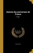 Histoire des protestants de France, Tome 1