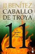 Caballo de troya 11