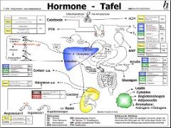 Hormone Tafel