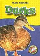 Ducks