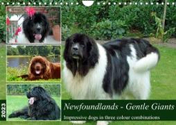 Newfoundlands Gentle Giants (Wall Calendar 2023 DIN A4 Landscape)