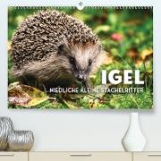 Igel - Niedliche kleine Stachelritter (Premium, hochwertiger DIN A2 Wandkalender 2023, Kunstdruck in Hochglanz)