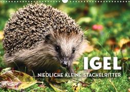 Igel - Niedliche kleine Stachelritter (Wandkalender 2023 DIN A3 quer)