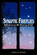 Synaptic Fireflies: Reflections on the Meaning of Life: A Seeker's Journal