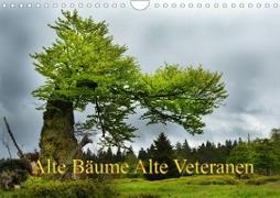 Alte Bäume Alte Veteranen (Wandkalender 2023 DIN A4 quer)