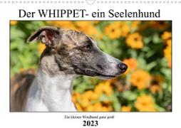 Der Whippet - ein Seelenhund (Wandkalender 2023 DIN A3 quer)