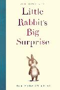 Little Rabbit's Big Surprise