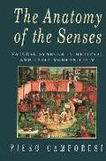 The Anatomy of the Senses