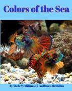 Colors of the Sea