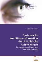 Systemische Konflikttransformation durch PolitischeAufstellungen