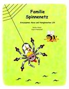 Familie Spinnenetz