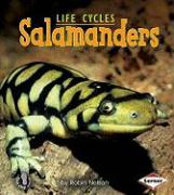 Salamanders