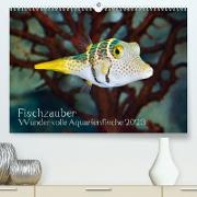 Fischzauber - Wundervolle Aquarienfische (Premium, hochwertiger DIN A2 Wandkalender 2023, Kunstdruck in Hochglanz)