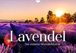 Lavendel - Die violette Wunderblume (Wandkalender 2023 DIN A4 quer)