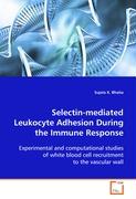 Selectin-mediated Leukocyte Adhesion During the Immune Response