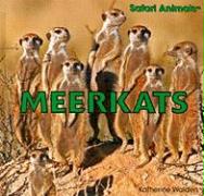 Meerkats