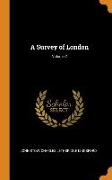 A Survey of London, Volume 2