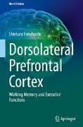 Dorsolateral Prefrontal Cortex