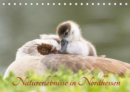 Naturerlebnisse in Nordhessen (Tischkalender 2023 DIN A5 quer)