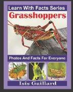 Grasshoppers Photos and Facts for Everyone: Animals in Nature