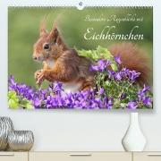 Besondere Augenblicke mit Eichhörnchen (Premium, hochwertiger DIN A2 Wandkalender 2023, Kunstdruck in Hochglanz)