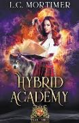 Hybrid Academy