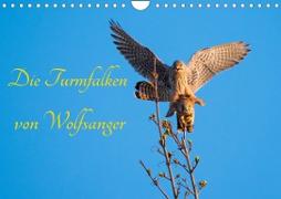 Die Turmfalken von Wolfsanger (Wandkalender 2023 DIN A4 quer)