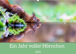 Ein Jahr voller Hörnchen (Wandkalender 2023 DIN A2 quer)