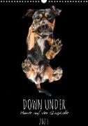 Down Under - Hunde auf der Glasplatte (Wandkalender 2023 DIN A3 hoch)