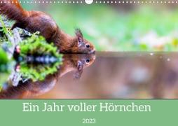 Ein Jahr voller Hörnchen (Wandkalender 2023 DIN A3 quer)