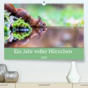 Ein Jahr voller Hörnchen (Premium, hochwertiger DIN A2 Wandkalender 2023, Kunstdruck in Hochglanz)