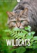 European Wildcats (Wall Calendar 2023 DIN A4 Portrait)