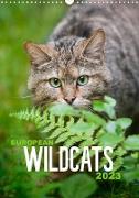 European Wildcats (Wall Calendar 2023 DIN A3 Portrait)