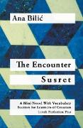 The Encounter / Susret - A Croatian Mini Novel With Vocabulary Section (C1 / Advanced High)