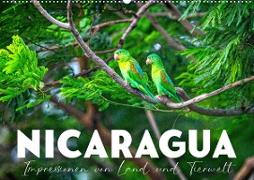 Nicaragua - Impressionen von Land und Tierwelt. (Wandkalender 2023 DIN A2 quer)