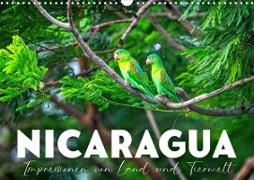 Nicaragua - Impressionen von Land und Tierwelt. (Wandkalender 2023 DIN A3 quer)