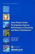 Does Private Sector Participation Improve Performance in Electricity and Water Distribution?