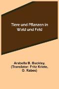 Tiere und Pflanzen in Wald und Feld