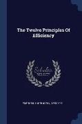 The Twelve Principles Of Efficiency