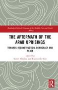 The Aftermath of the Arab Uprisings