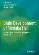 Brain Development of Medaka Fish