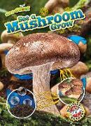 See a Mushroom Grow