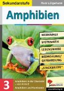 Amphibien - Merkmale, Lebensraum, Systematik