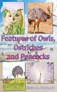 Features of Owls, Ostriches and Peacocks